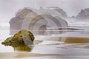 Foggy Oregon Coast