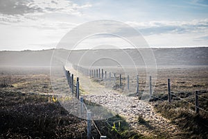 Foggy path in the dunes of la Gachere