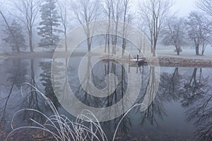 Foggy Pond