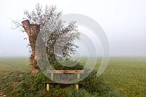 Foggy resting place at Paar river in autumn