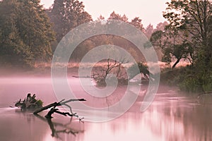 Foggy river in the morning