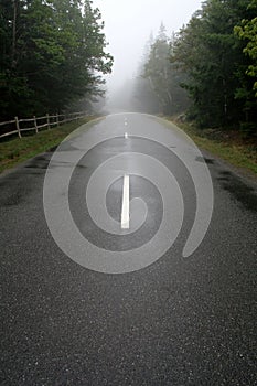 Foggy Road