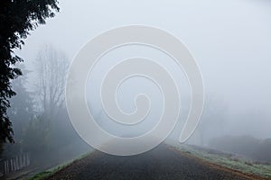 Foggy Road