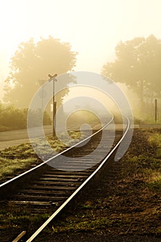 Foggy road