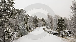 Foggy road and the bridge