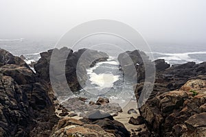 Foggy rocky beach