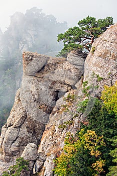 Foggy rocky landscape with pines on top of Yuzhnaya Demerdzhi mountain in Crimea. Dolina Privideniy, or Ghosts Valley is popular