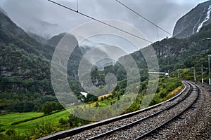 Foggy scene in the Norwegian