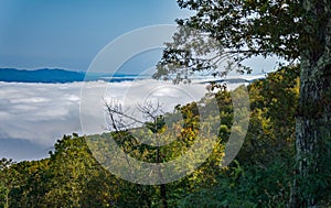 Foggy Shenandoah Valley and Allegany Mountains