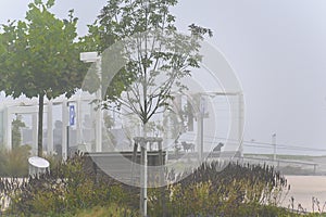 Foggy shipping pier at Tulln