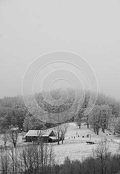 Nebbioso nevicata sul Paesi dimora nella fattoria cavalli 