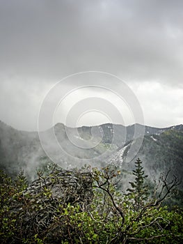 Foggy spring afternoon along the trail to Skull Rock, Willamette National Forest