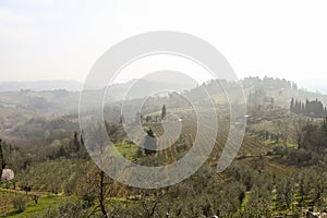 Foggy spring beautiful landscape in Tuscany, early morning, Italy, Europe