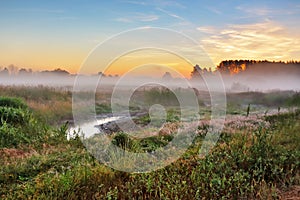 Foggy summer meadow in the morning. Misty dawn panorama.