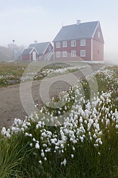 Foggy summer morning in Greenland. The picturesque Ilulissat village on the Greenland Sea shore. Old wooden house in Ilulissat