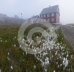 Foggy summer morning in Greenland. The picturesque Ilulissat village on the Greenland Sea shore. Old wooden house in Ilulissat