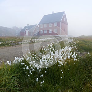 Foggy summer morning in Greenland. The picturesque Ilulissat village on the Greenland Sea shore. Old wooden house in Ilulissat