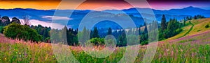 Foggy summer panorama of the Carpathian mountains.