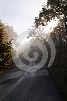 Foggy sunbeams on a country road