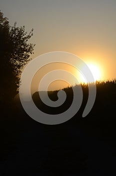 Foggy sunrise appears over a corn field in FingerLakes