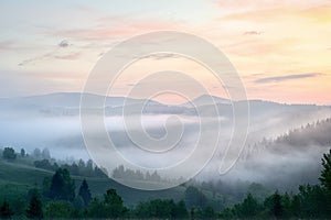 Foggy sunrise with forest and mountain silhouettes. Warm summer nature background.