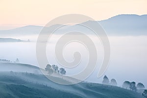 Foggy sunrise with forest and mountain silhouettes. Warm summer nature background.