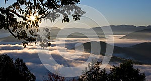 Foggy Sunrise in Great Smoky Mountains