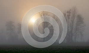 Foggy sunrise at Paar river in autumn