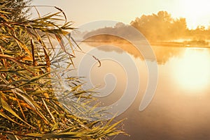 Foggy sunrise on a small river