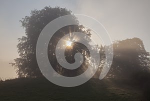 Foggy sunrise in UK Lake District