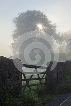 Foggy sunrise in UK Lake District