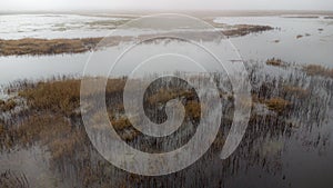 A foggy swamp on rainy day