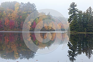 Foggy trees in autumn color and a small island with pines reflect in the water of a northern Minnesota lake