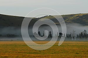 Foggy Valley