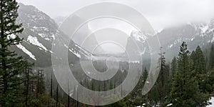 Foggy Valley from Tunnel View