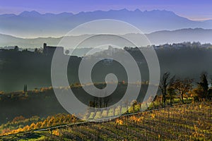 Foggy view on colorful vineyards of Langhe Roero Monferrato, UNESCO World Heritage in Piedmont, Italy. in autumn season