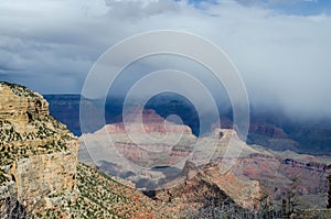 Foggy view from Grand Canyon