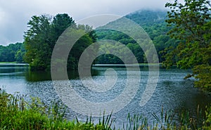 A Foggy View of Sharp Top Mountain and Abbott Lake