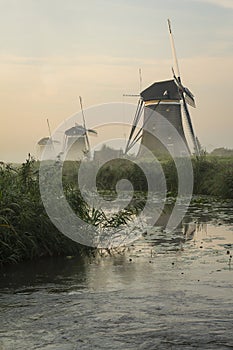 Foggy windmills on a