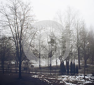 Foggy winter day