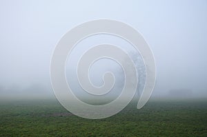 Foggy winter day in a park