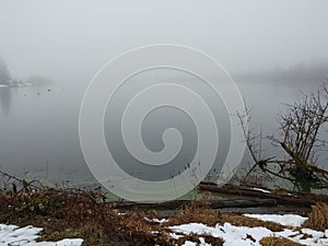 Foggy winter lake inlet with green algae