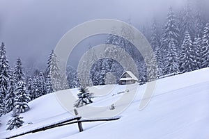 Foggy winter landcscape. Wooden forester`s house on the lawn covered with snow. Scenery of high mountains and forests. Wallpaper