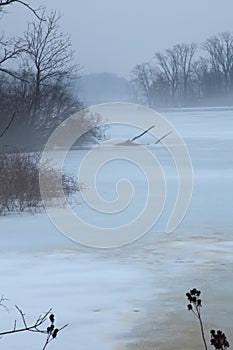 Foggy Winter Landscape