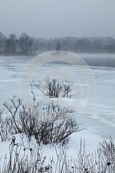 Foggy Winter Landscape