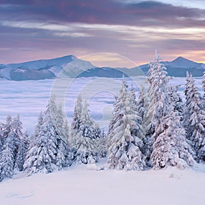 Foggy winter landscape in mountains. Sunrise