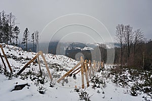 Foggy winter landscape - snowy glade with wood fence and foggy forest landscape in the background