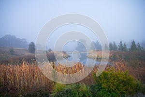 Foggy winter morning by the lake