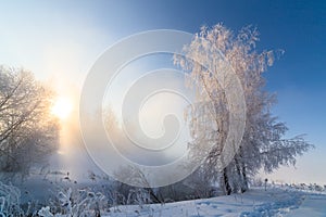 Foggy winter riverside at morning with sun shine between birch trees - horizontal frame