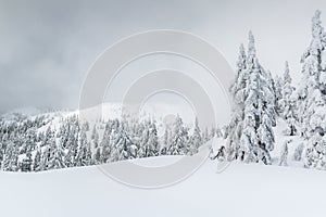 Foggy winter scene in the backcountry photo
